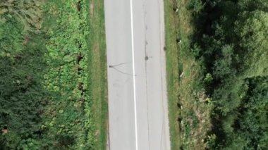 Dağ yolunun en iyi manzarası. İnsansız hava aracı yol boyunca uçuyor. Arabalar ile yolun havadan üst görünümü ağaçlar arasında binmek. Kırsal kesimdeki yeşil ormanlar arasındaki yol. Yeşil orman arasındaki yolun havadan drone görünümü