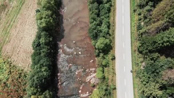 Jeune femme sportive entraînement intensif à vélo près de la rivière vue de dessus. Athlète féminine en vélo de route entre les arbres près de la rivière. Vue aérienne par drone des montagnes, de la rivière et du cycliste professionnel — Video