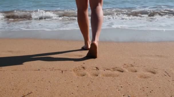 Close-up van jonge vrouwelijke benen lopen op zandstrand. Aantrekkelijk jong meisje komt in het water. Meisje in rode korte jurk wandelen langs het zandstrand. Jonge brunette vrouw wandelen in de buurt van zee. Slow Motion — Stockvideo