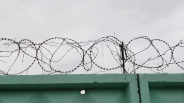 Dikenli telli hapishane yeşil çiti. Hapisteki dikenli tellerin yakından görünümü. Dikenli tel çit