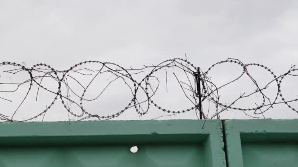 Prison green fence with barbed wire. Close-up view of barbed wire in jail. Barbed wire fence — Stock Video