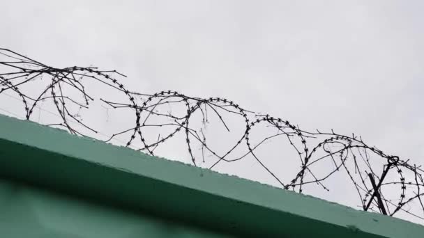 刑務所の有刺鉄線バーブ付きの刑務所ワイヤー。灰色の空に対する有刺鉄線付き緑のフェンス. — ストック動画