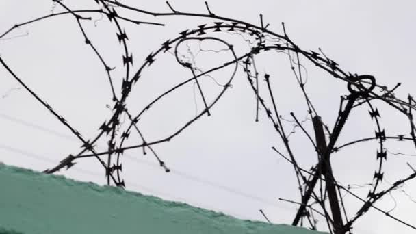Close up view of prison barbed wire. Barbed wire in jail. Fence with barbed wire against grey sky. — Stock Video