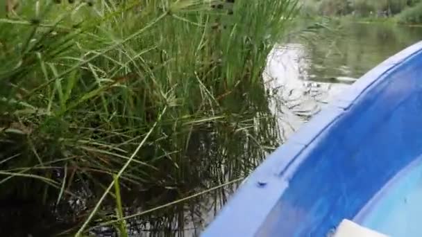 Pequeno barco de madeira flutua no lago. Vista de perto do pequeno barco que navega ao longo do lago. Barco azul navegando no lago verde com sedge . — Vídeo de Stock