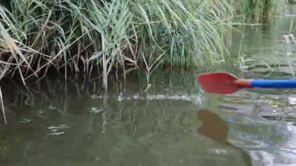 Wooden boat sailing along polluted bog. Paddle in water on lake. Oar rowing in lake along sedge. Blue wooden paddle on lake. Paddle over water. — Stock Video