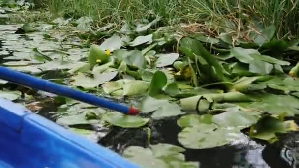 Blue wooden paddle over water. Paddle raised above water on lake in city park. Paddle rows on lake with water lilies and sedge. Close up view of part of paddle in water. — Stock Video