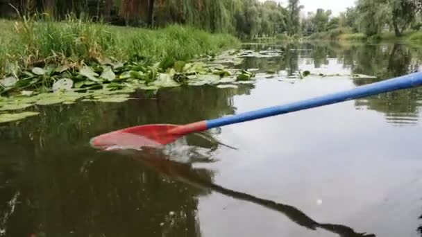 Plastic paddle in park with lake and water lilies. Paddle over water. Close up of paddle fragments in water. Water drops flow down. Paddle in city park with lilies and sedge. — Stock Video