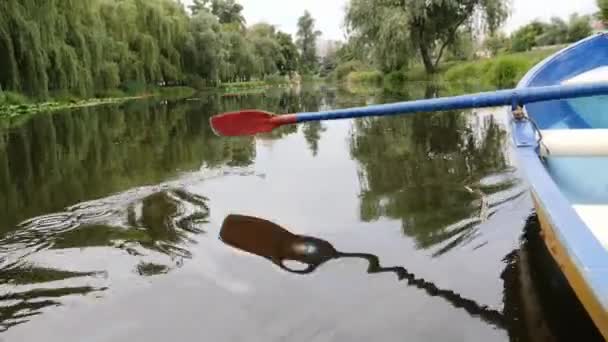 Raquete e fragmentos de barco no lago com lírios e sedge. Pequeno barco azul de madeira com remo no lago no parque verde da cidade. Parte do barco com remo no parque da cidade com lago . — Vídeo de Stock