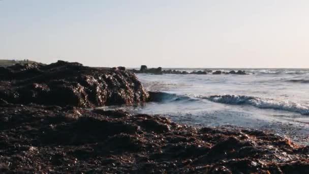 Vista de perto da costa de algas com ondas grandes. Praia poluída do mar Mediterrâneo. Mar poluído — Vídeo de Stock