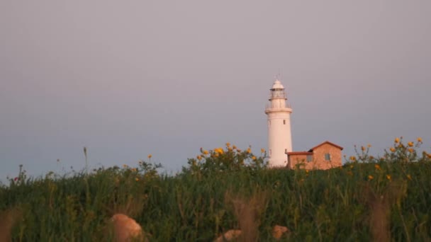 Farol branco com pequena casa de tijolo no campo com flores amarelas. Vento balançando flores silvestres amarelas com farol branco no horizonte. Velho farol branco — Vídeo de Stock