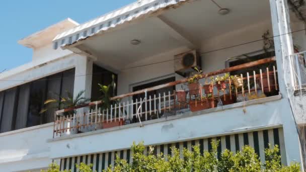 Acogedora terraza en casa antigua con flores verdes y una pequeña palmera. Concepto vacaciones de verano — Vídeo de stock