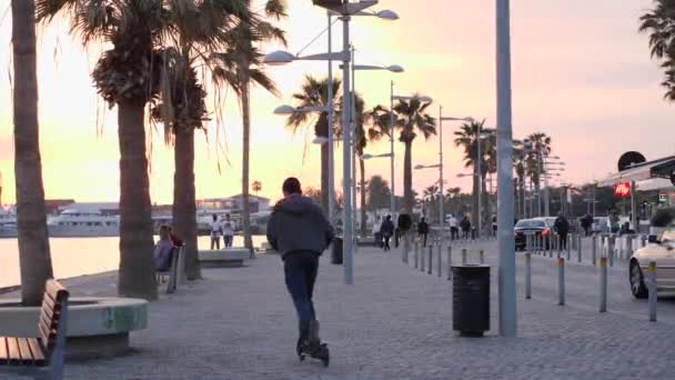 21 de marzo, Paphos, Chipre Paseo turístico animado con palmeras, cafés y restaurantes al atardecer. Atardecer rosa en muelle peatonal — Vídeos de Stock