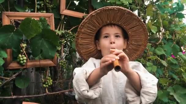 Ritratto di bambino felice con cappello di paglia che suona diligentemente un flauto. Affascinante ragazzo carino ountry suona su strumento musicale — Video Stock