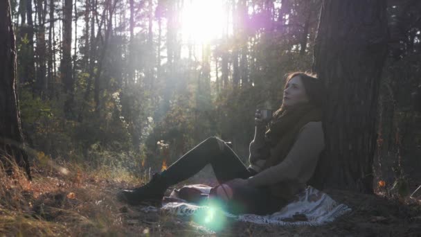 Attractive woman traveller drinking hot tea on nature. Young beautiful female brunette drinking coffee in autumn forest at sunny warm day — Stock Video