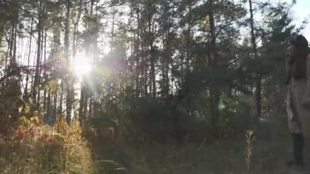 Fiatal vonzó nő bézs kabátot és meleg barna sál séta őszi erdőben. Gyönyörű őszi fa sárga levelekkel — Stock videók