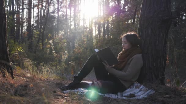 Мирная юная кавказка-путешественница в уютной одежде, сидящая в осеннем лесу и читающая на рассвете книгу. Привлекательная счастливая женщина читает книгу в осеннем парке — стоковое видео