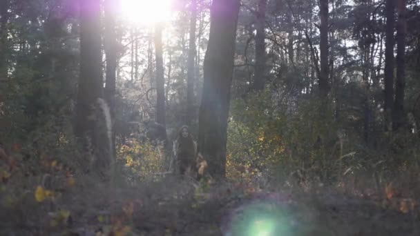 Bájos aranyos fiatal kaukázusi nő sétál ősszel erdőben napkelte. Sárga és piros levelek. Szép ősz. Vonzó nő gyaloglás a zöld fák között az erdőben — Stock videók