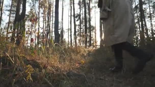 Fiatal nő turista megy a nap felé az őszi erdő, sárga fák és bokrok. Női lábak fekete csizmák őszi erdőben túrázás — Stock videók