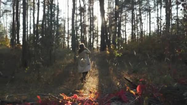 Bájos fiatal nő élvezi őszi meleg nap őszi erdőben. Gyönyörű őszi erdő a napfény sugaraiban — Stock videók