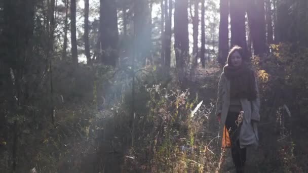 Mulher na moda atraente jovem em casaco e cachecol quente andando na floresta ao nascer do sol. Morena fêmea caminhando através de madeira de outono no dia de outono. Raios solares na floresta — Vídeo de Stock