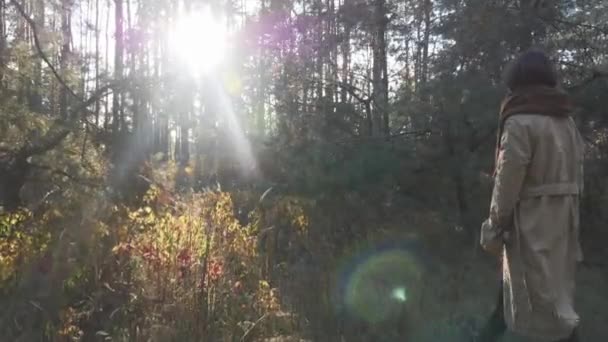 Mujer morena feliz disfrutando de paseo por la tarde en el bosque de otoño. Sonriente joven hembra caminando por el bosque verde. Vista trasera — Vídeo de stock