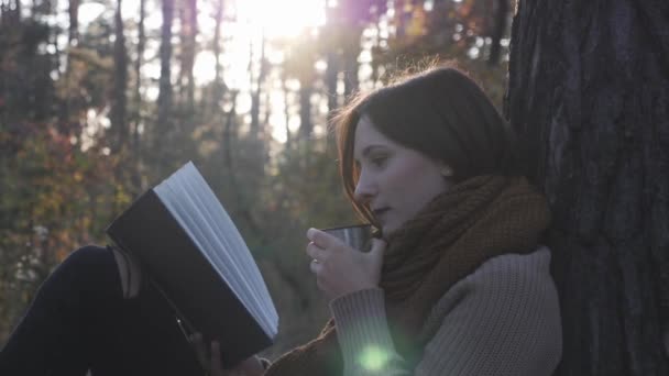 Glamouröse brünette Reisende trinkt Heißgetränke aus Thermoskanne, liest Buch und nostalgisch im Herbst Waldpark bei Sonnenuntergang — Stockvideo