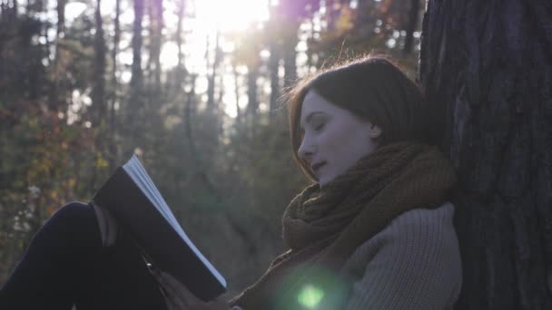 Felice donna bruna carina viaggiatore lettura libro nella foresta autunnale al tramonto. Turismo femminile rilassante e godendo la lettura in autunno bosco — Video Stock