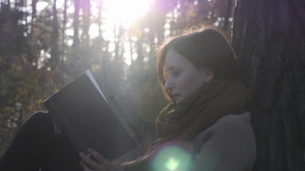 Закройте вид сбоку на молодую очаровательную женщину в уютной одежде, держащую в руках книгу и читающую на солнышке в осеннем лесу — стоковое видео