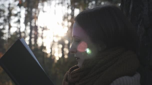 Porträt der attraktiven kaukasischen gut aussehenden Reisenden, die Buch im Herbst Waldpark bei Sonnenuntergang liest — Stockvideo