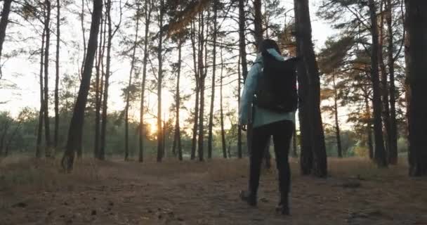 Junge glückliche niedliche Reisende in blauer Jacke mit Touristenrucksack spazieren im Herbstwald und genießen den Herbstabend — Stockvideo