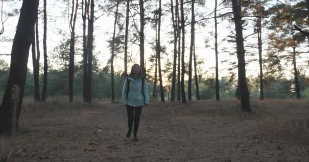 Jovem viajante turístico de casaco azul com mochila turística caminhando na floresta de outono e desfrutando da noite de outono — Vídeo de Stock