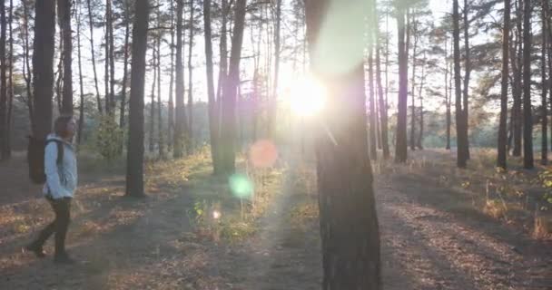 Solitario nostalgico viaggiatore giovane donna con grande zaino turistico a piedi attraverso la foresta autunnale e godendo autunno calda giornata di sole — Video Stock