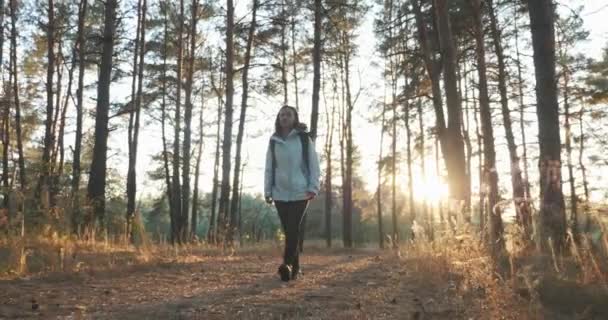 Feliz morena viajera femenina en chaqueta con gran mochila turística caminando en el bosque de otoño en un día soleado y cálido. Luz del sol rompiendo árboles hojas — Vídeos de Stock
