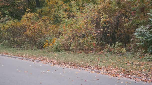 Ciclista profesional en ropa deportiva negra y casco a caballo en bicicleta de carretera en el parque de la ciudad de otoño. Hombre entrenamiento intensivo en bicicleta de carretera en el parque de otoño. Entrenamiento en bicicleta al aire libre. Movimiento lento — Vídeo de stock
