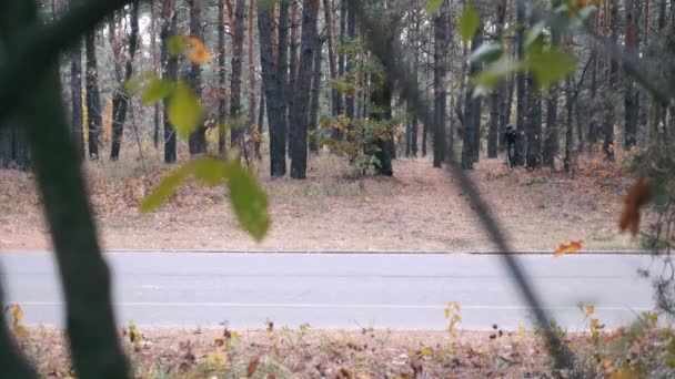 Siyah spor giyimli, bisiklet kasklı ve gözlüklü profesyonel bisikletçi sonbahar ormanlarında bisiklet üzerinde sıkı antrenman yapıyor. Motive olmuş genç erkek sporcu parkta bisiklet sürüyor. — Stok video