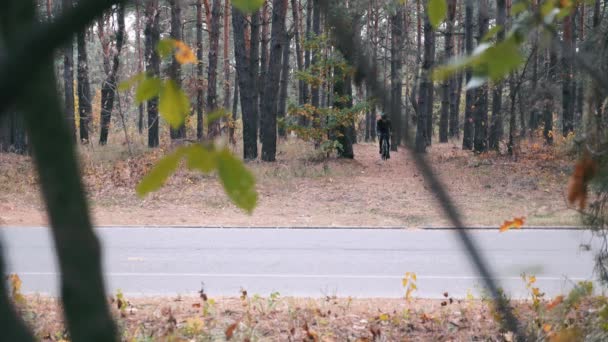 Встановіть хорошого професійного велосипедиста в чорний велосипедний одяг, шолом і сонцезахисні окуляри, що їздять на велосипеді в осінньому парку. Молодий красивий спортсмен, який готується до гонки на велосипеді. Повільний рух — стокове відео