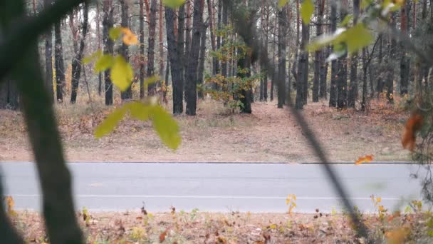 Oldalnézet az üres kerékpárút őszi városi parkban. Kerékpáros út őszi erdőben — Stock videók