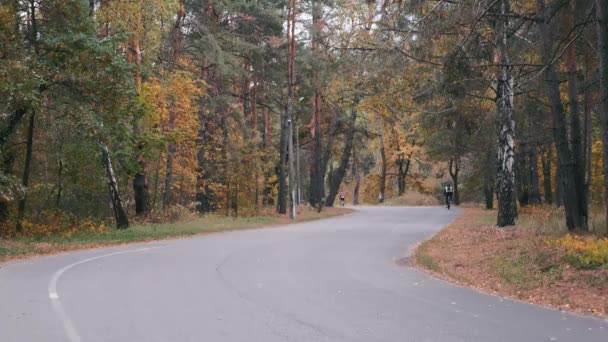 Sonbahar Şehri Parkı 'nda bisiklet üzerinde sıkı çalışan profesyonel bir erkek bisikletçi. Genç çekici triatloncu kask takıp sonbahar ormanında bisikletle pedal çeviriyor. Bisikletli erkek. — Stok video