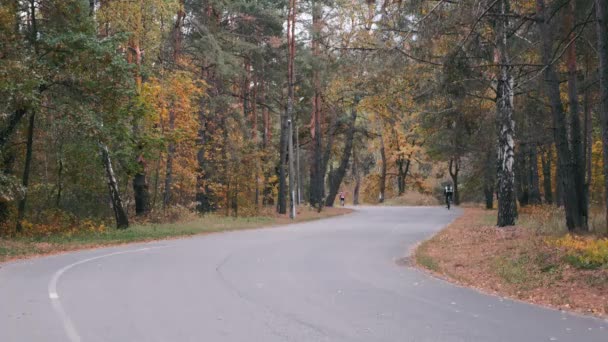 Radprofi trainiert hart auf Rennrad im Herbst Stadtpark. junge attraktive Triathletin mit Helm tritt intensiv auf dem Fahrrad im Herbstwald in die Pedale. Männer radeln auf Rennrad — Stockvideo