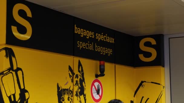 Signboard of special baggage area in airport. Special luggage zone in arriving area at airport — Stock Video