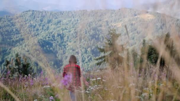 Vue arrière de belle femme brune en chemise rouge marchant parmi le champ de fleurs et de blé sur le sommet de la colline dans les montagnes. Au ralenti. Montagnes et fond bleu ciel — Video