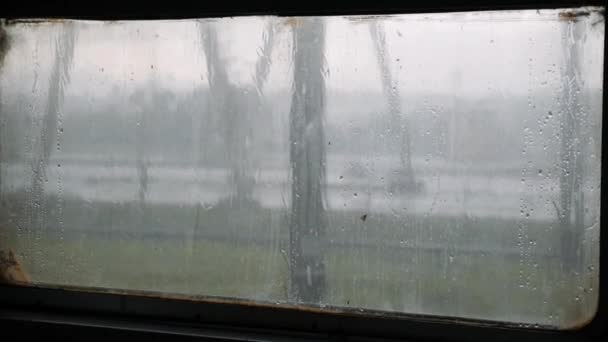 Regn droppar på glaset. Kondens av vattendroppar på glaset. Vattendroppar faller på glas. Det regnar på tågets fönster. Regnsäsong — Stockvideo