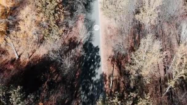 Vista aérea superior da estrada vazia no parque da cidade do outono com dois jovens ciclistas profissionais no dia quente ensolarado. Visão traseira follow de pessoas andando de bicicleta na floresta — Vídeo de Stock