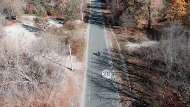 年轻的职业女子三项全能运动员在阳光灿烂的秋日骑公路自行车在森林里，空中无人跟踪观察。 秋天城市公园的空旷路上骑自行车的女人 — 图库视频影像