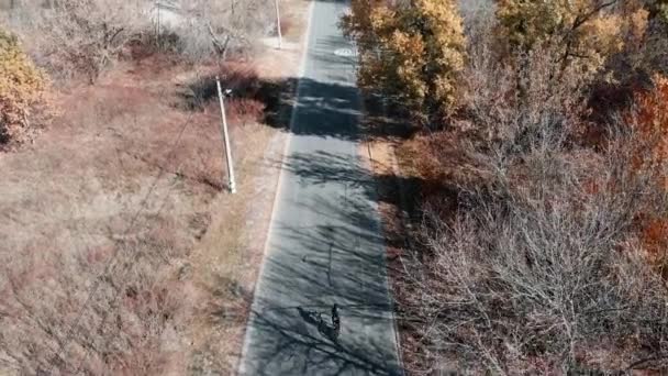 Joven ciclista montando en bicicleta de carretera en el bosque de otoño, vista aérea de drones. Vista trasera de la mujer ciclismo en bicicleta en el parque de la ciudad de otoño — Vídeo de stock