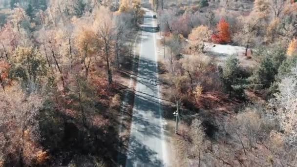 Soutěž dvou mladých cyklistů na silničních kolech. Profesionální jezdci na kolech sprintují na prázdné silnici v podzimním městském parku v centru města, letecký výhled na drony. Kyjev, Ukrajina — Stock video