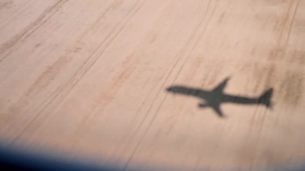 Silhouette of airplane flying over fields. Shadow of plane is landing over golden fields of wheat. Airplane flight — Wideo stockowe