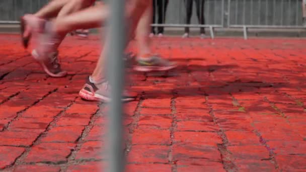 Kyiv/Ukraine - June 2, 2019 - Female and male feet are running on red paving stones painted by fluorescent paints at Color Run, close up view. — Stock Video