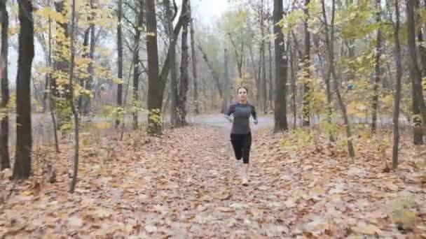 Attraktives Lauftraining im Fallpark. Frauen-Lauftraining im Herbstwald. Frontansicht — Stockvideo