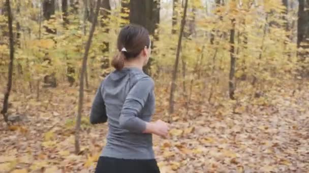 Back side view of successful business woman jogging in the autumn park in the morning before work. — ストック動画